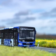 KVB MAN Lions City - exclusive modell route 161 Köln/Bonn Flughafen