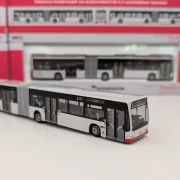 KVB Citaro Facelift G - Sondermodell Linie 134 Niehl über Riehl