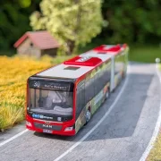MAN Lions City 18C - DB Regio Bus Mitte - Linie 30 Urmitz